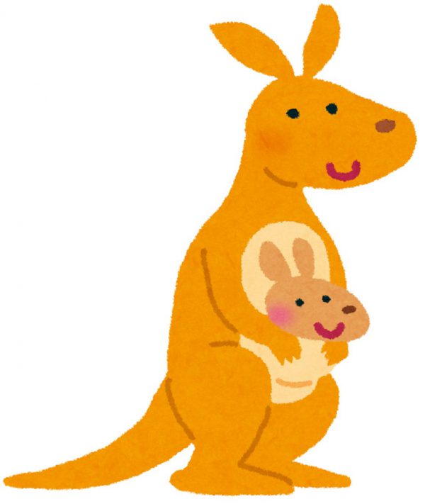 やる気のないカンガルー